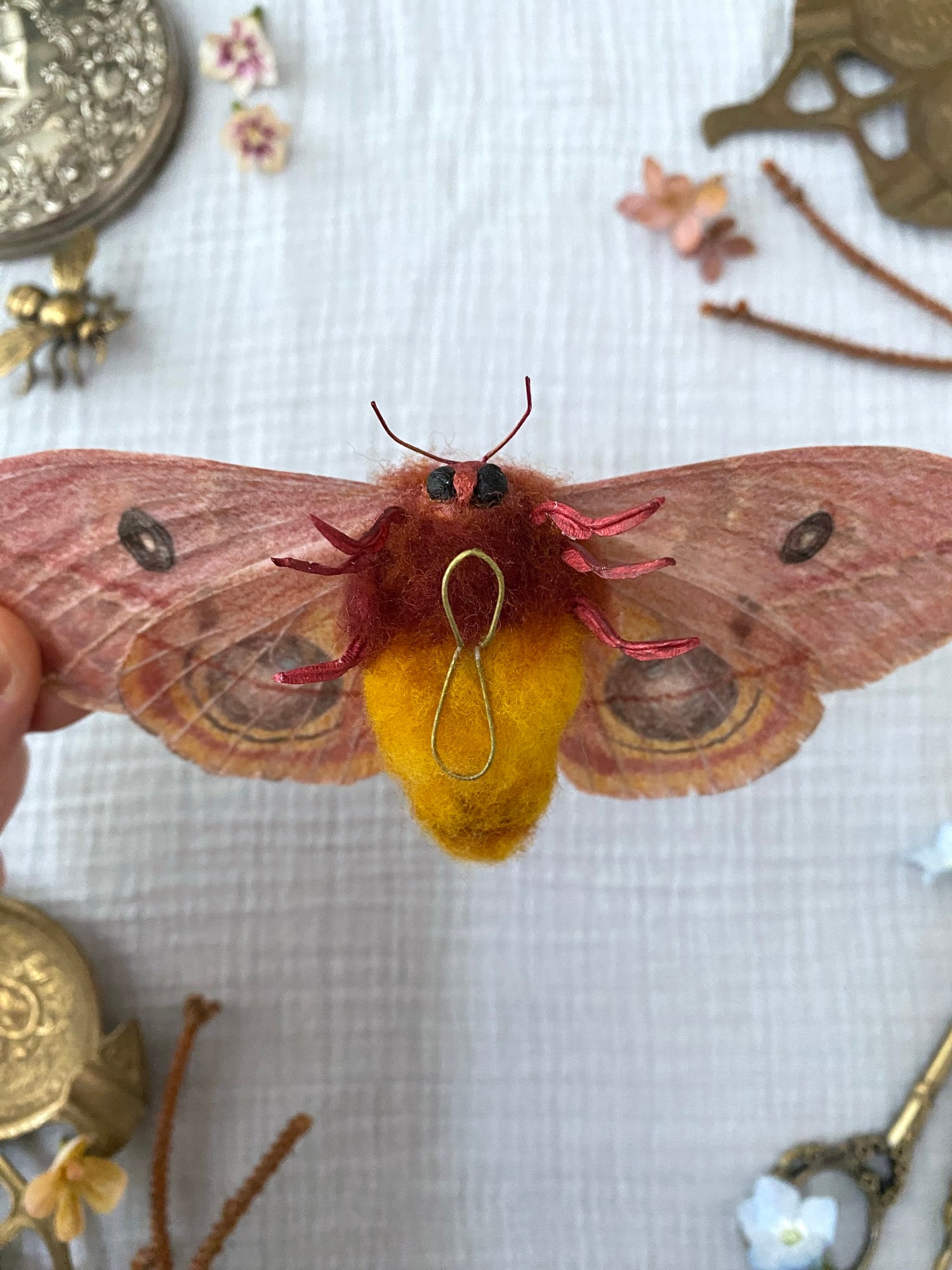 Female Io Moth (Reddish Brown)