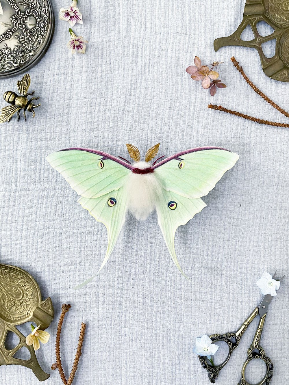 Luna Moth (Green)