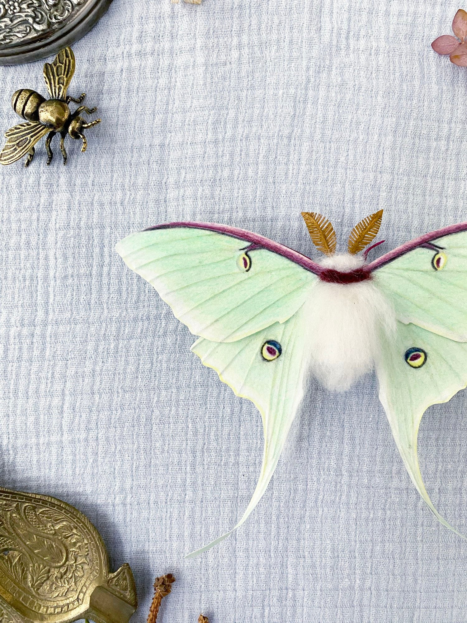 Luna Moth (Green)