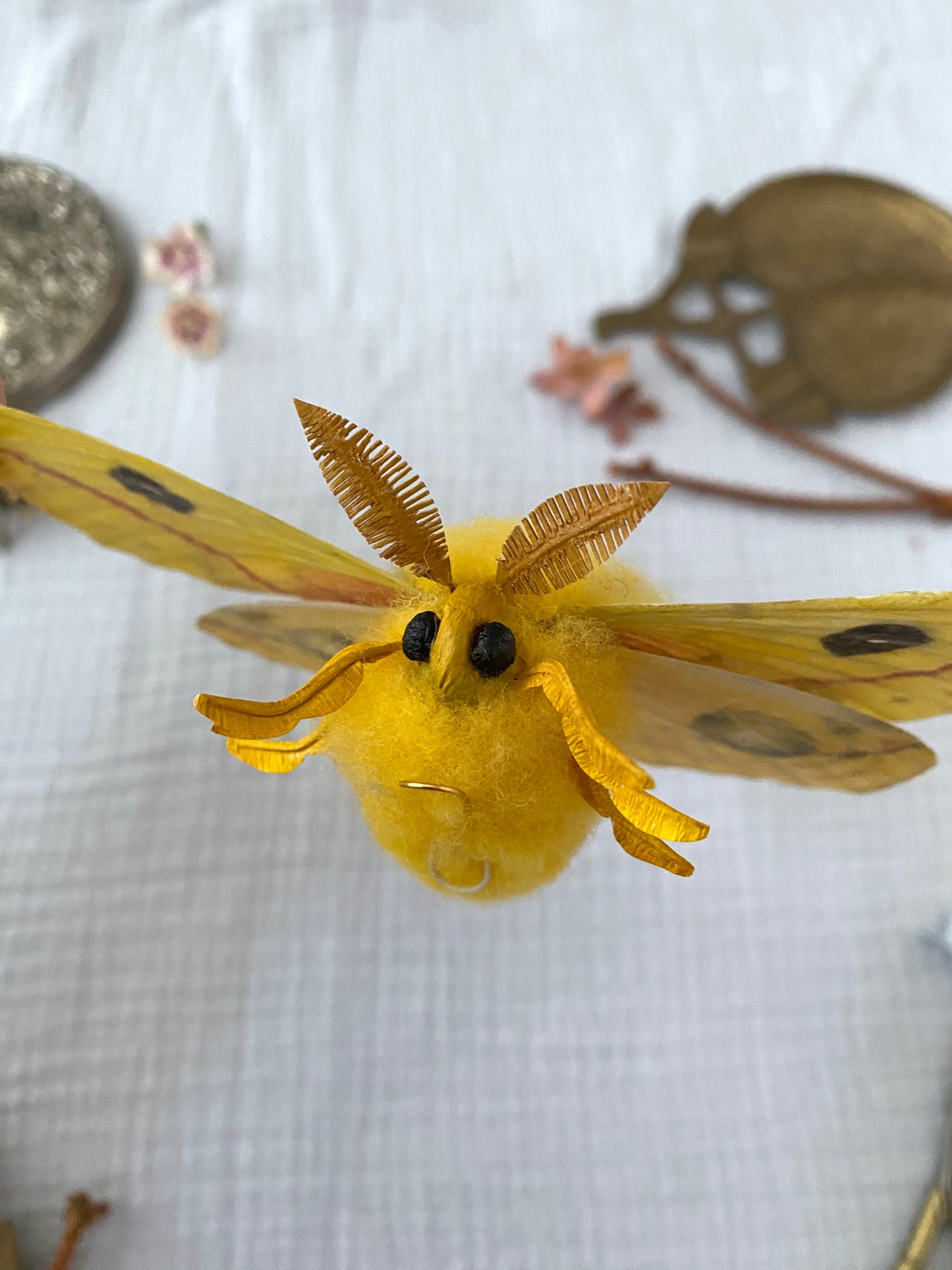 Male Io Moth (Yellow)