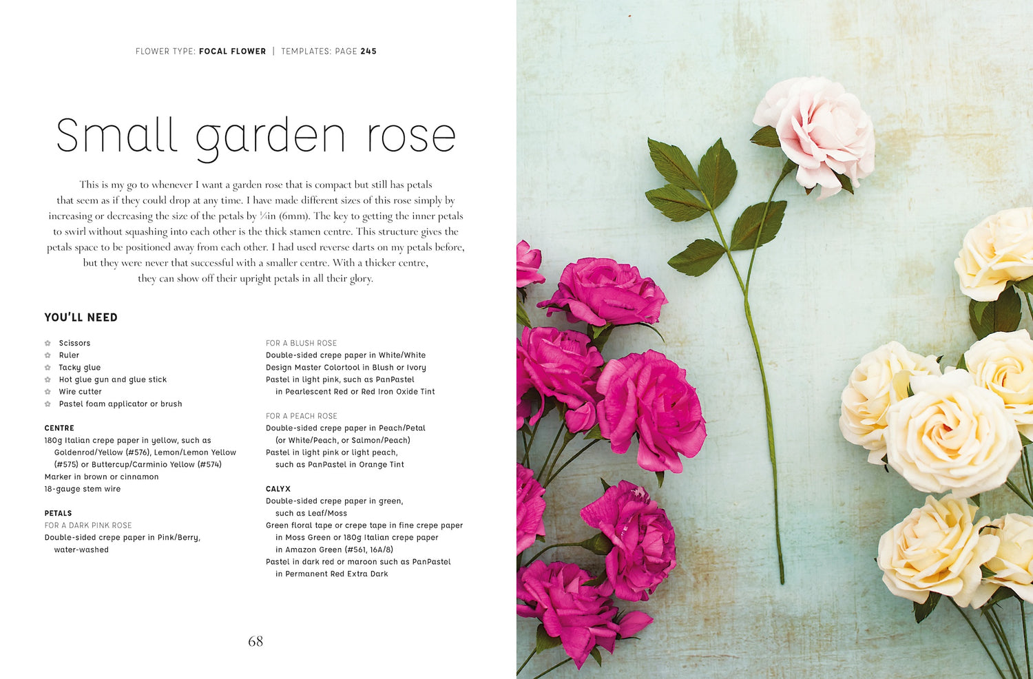 Paper Flowers (Paperback Book), Signed by Jessie