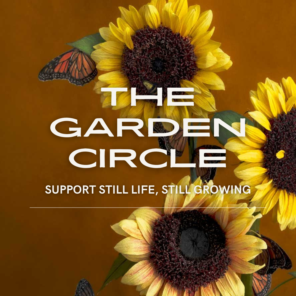 The Garden Circle: Support Still Life, Still Growing